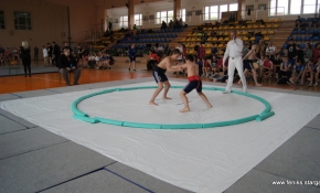 Międzywojewódzkie Mistrzostwa Młodzików i Młodziczek w sumo Pyrzyce 9-10.05.2014